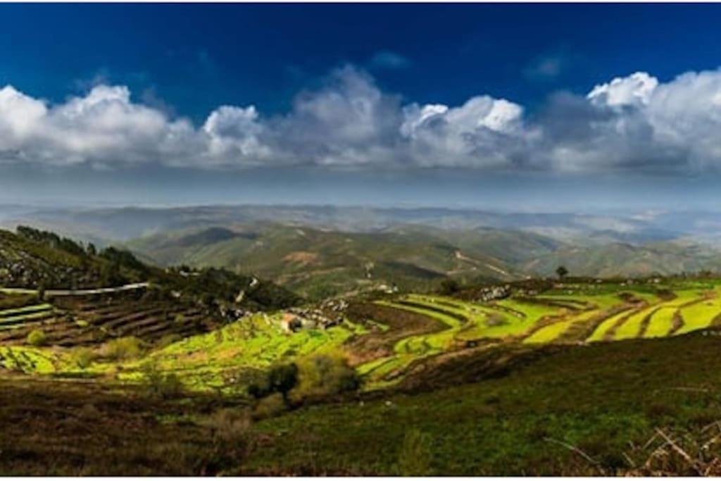 Casa Citrus Limao - Between The Hills & The Ocean 西尔韦斯 外观 照片